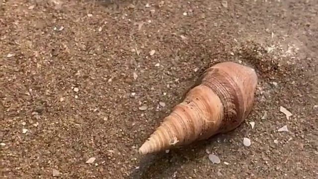 赶海赶海赶海啦