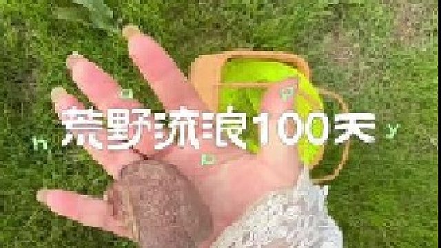 捡走了流浪猫一天的快乐