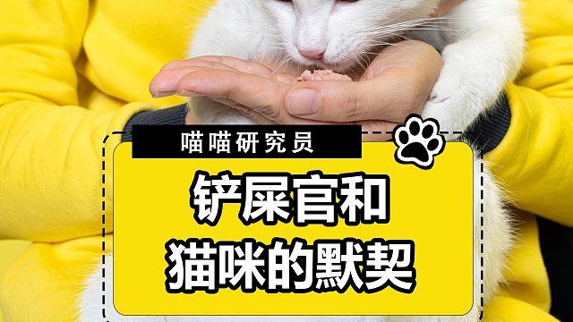 猫：已牵制监管者120秒