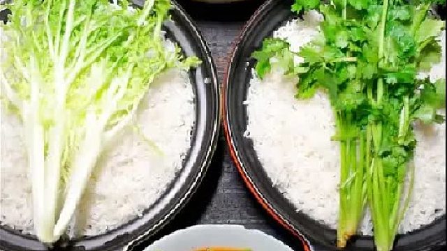 今天都是配菜啊！你们会选哪个？