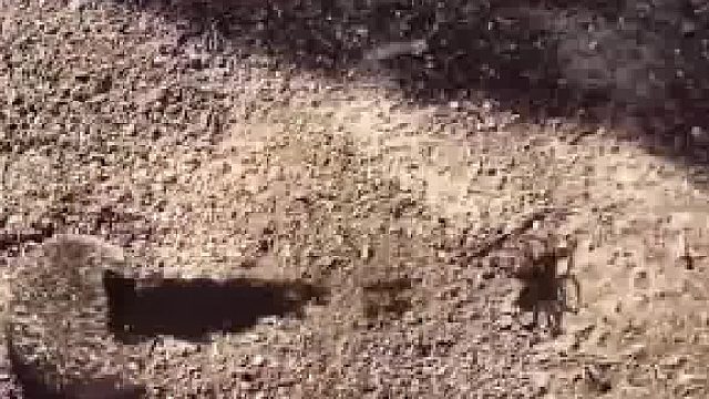 发生什么事了？