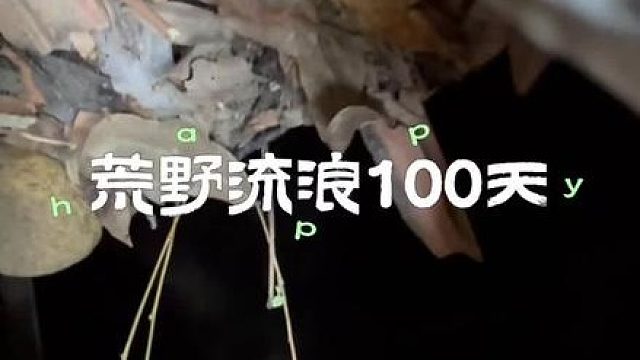 发现了冬天被捕的真相