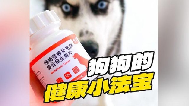 想要狗狗健康成长？维生素少不了