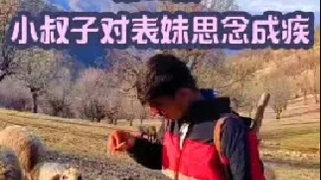 小叔子想办法说服父亲 他已经对表妹思念成疾了  (1)