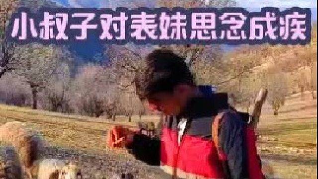 小叔子想办法说服父亲 他已经对表妹思念成疾了  (2)