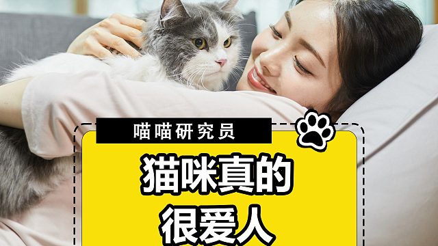 主人就是猫咪的全部，无论在哪儿都会找到你