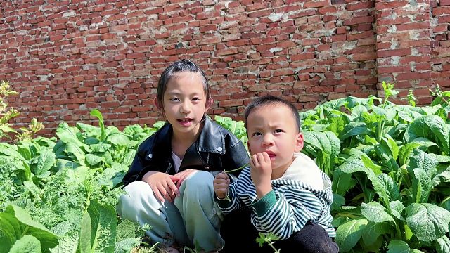 9岁女儿问爸爸：为什么要生二胎？爸爸的回答太现实了