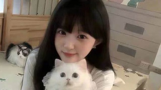 论，美女野外遇到老虎的正确做法竟然是！