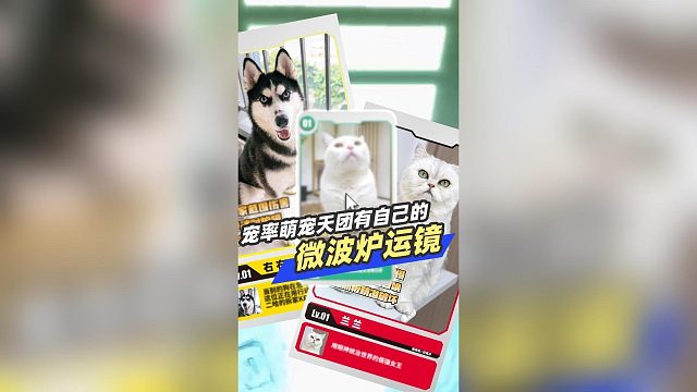 宠率萌宠天团有自己的微波炉运镜