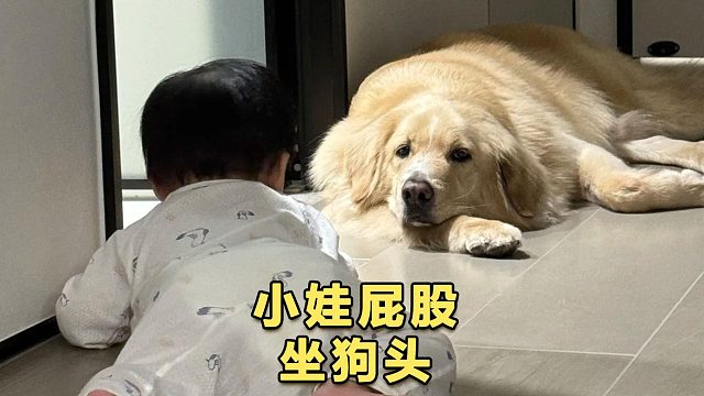 就让这大屁全都落下