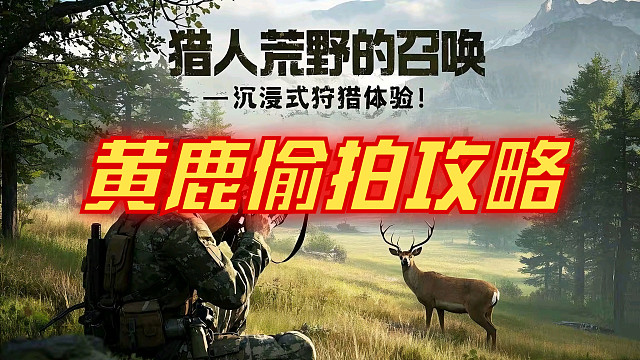 挑战极限！50米内拍下黄鹿喝水瞬间！