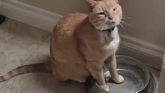 无法理解它的快乐…