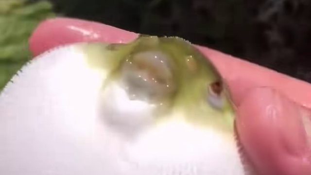 户外赶海抓海鲜