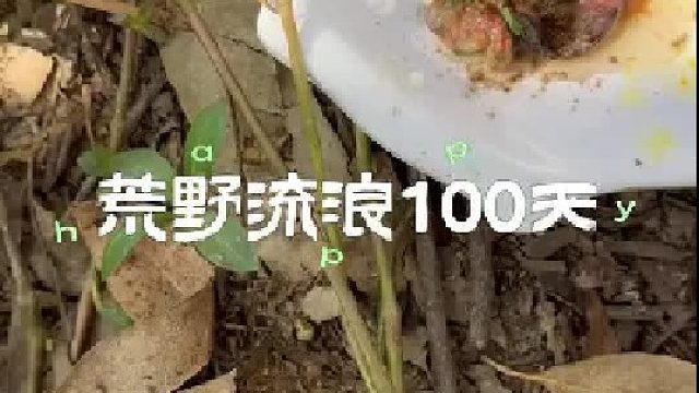 又吃了一顿大餐