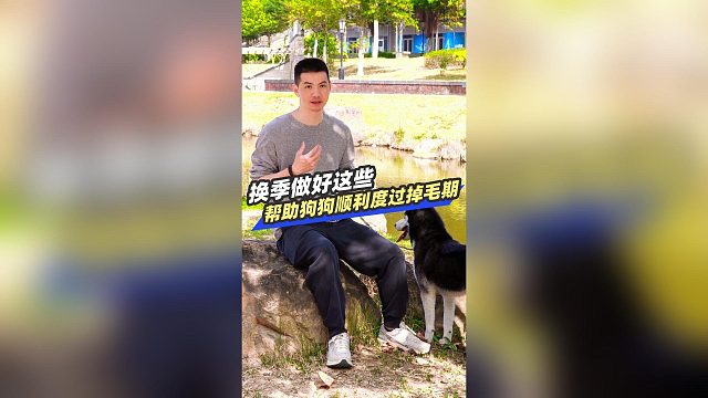 换季做好这些，帮助狗狗顺利度过换毛期