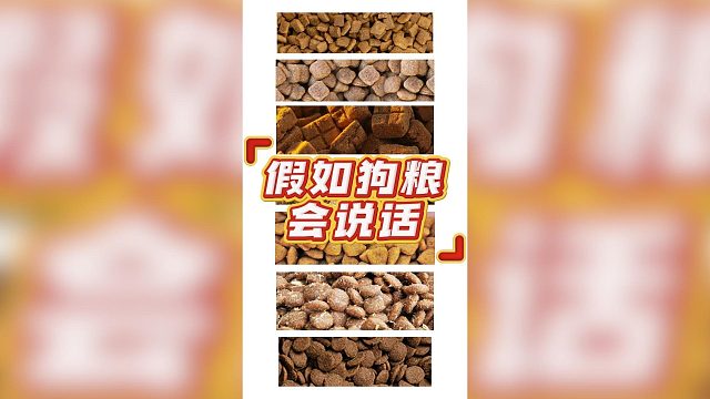 假如狗粮会说话，该说的和不该说的都说了！