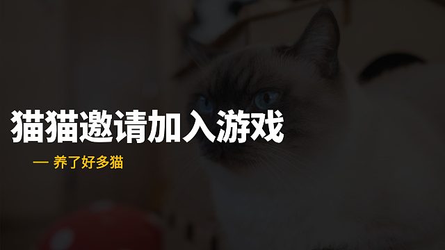 猫猫版的“媚眼抛给瞎子看”，具象化了！