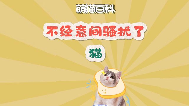 你多冒昧啊，真是一场酣畅淋漓的骚扰