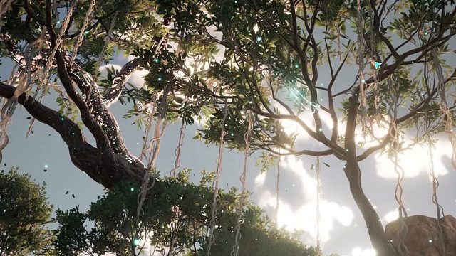 我不允许你还不知道荒野起源