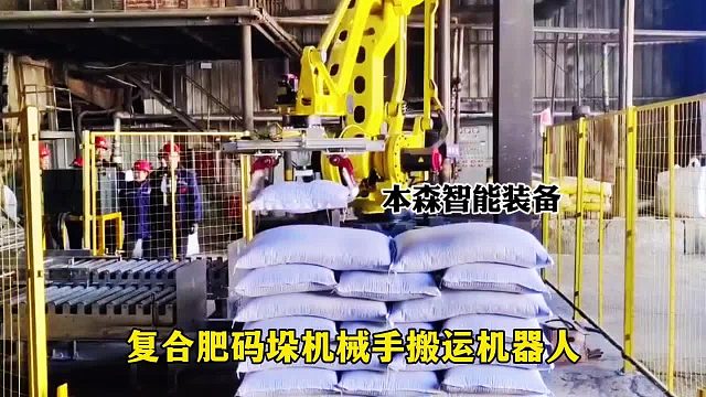 复合肥码垛机械手搬运机器人