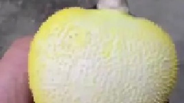 带你去体验渔民的生活