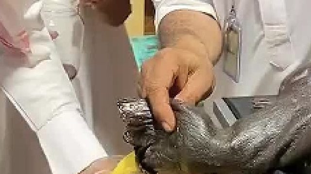 谁解答一下这是啥玩意？