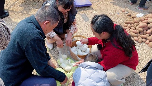 农村媳妇卖鹅蛋，看看卖了多少钱？拿到钱高兴坏了