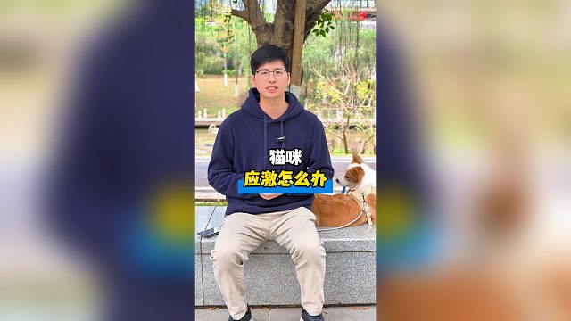 猫咪几种应激的处理方式，快学起来