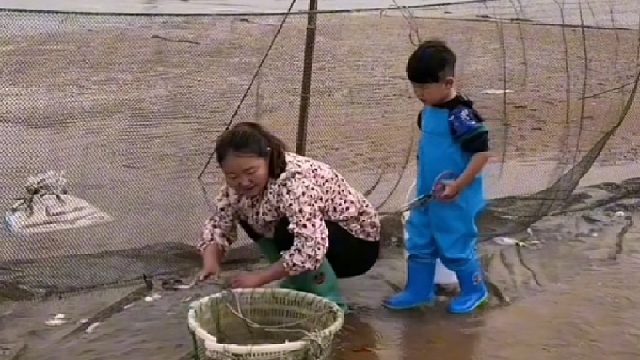 户外赶海抓海鲜