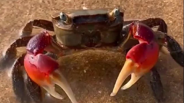 带你去体验渔民的生活