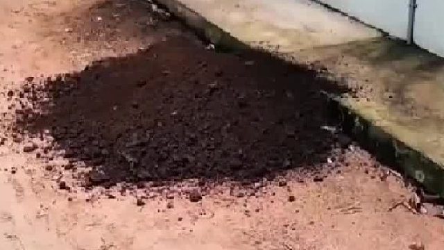 发现有什么东西在我家 挖墙角