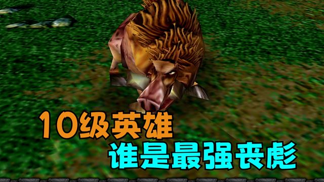 魔兽争霸3 野猪来袭 谁是最强丧彪