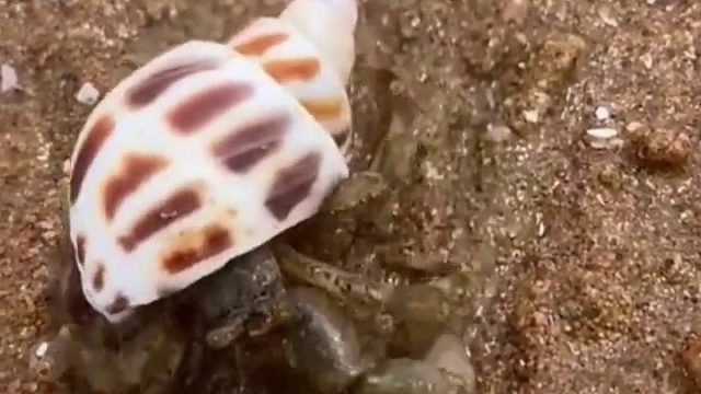 带你去体验渔民的生活