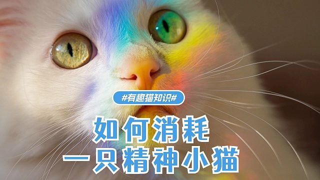 如何消耗一只精神小猫，看看学起来！
