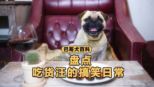 狗：“哈哈，又是嘴欠的一天呢！