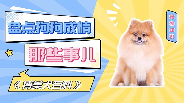 盘点狗狗成精那些事儿