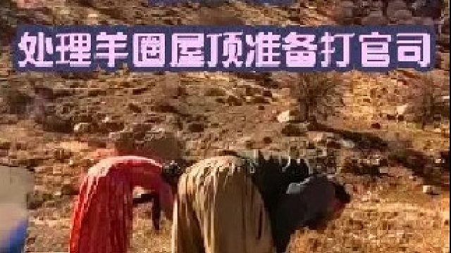 羊圈做防水处理 米娜准备打官司  (1)