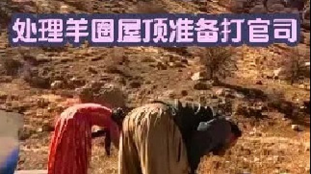 羊圈做防水处理 米娜准备打官司  (2)