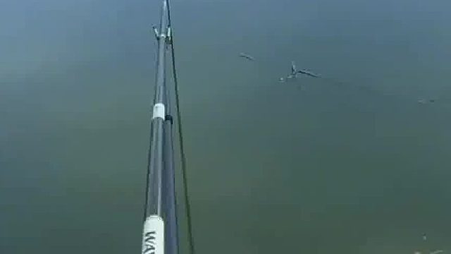 打窝没注意看后面 一回头吓我一跳