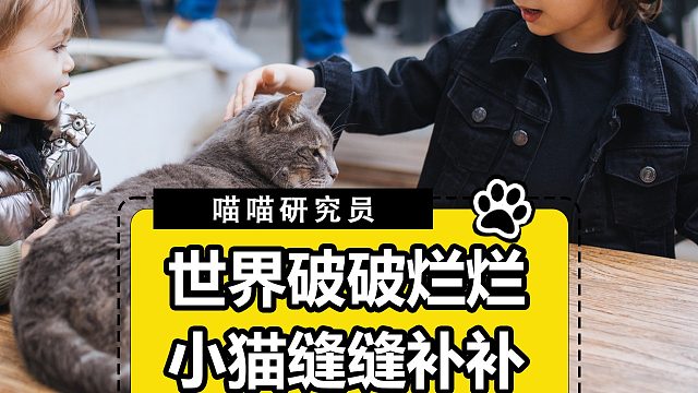 生活破破烂烂，小猫缝缝补补！