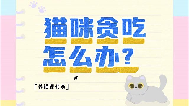 怎么阻止猫咪偷吃？把它的头当球拍