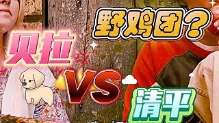【卡爾】二姐與貝拉的初次見面，小貝拉還是那么有勁~——1
