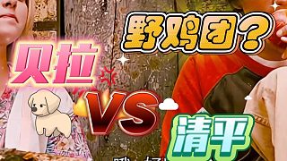【卡爾】貝拉與清平的戰(zhàn)前罵戰(zhàn)，火藥味十足啊~——2