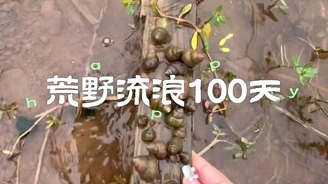 准备和小宝在海边住上几天