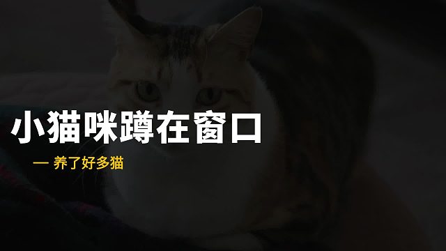 庆幸吧人类，它俩没离家出走
