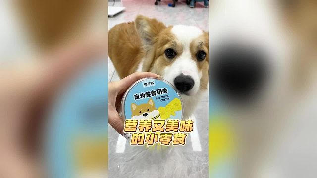 营养又美味的小零食，馋得狗子直流口水！