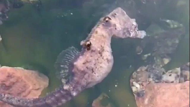 赶海赶海赶海啦