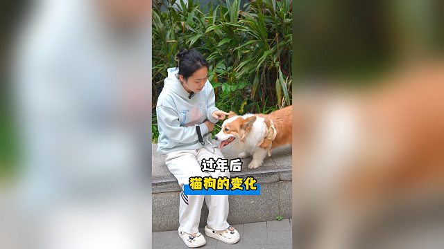 过年后的猫狗都有哪些变化？