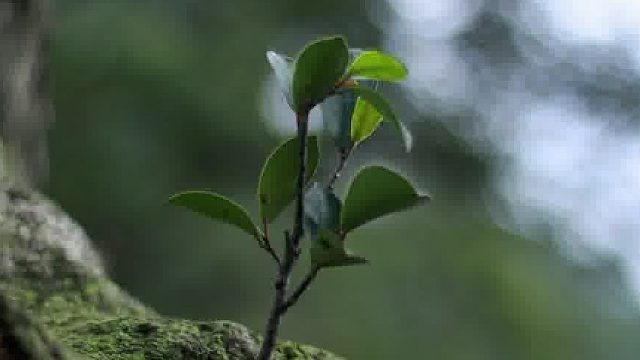 创业人最宝贵的资产是跌倒后依然站起的姿态