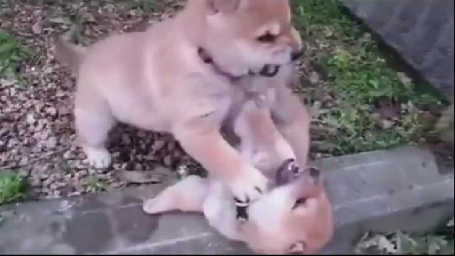 创业是把碎片时间拼成完整的梦想版图